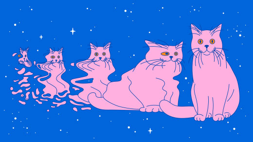 Illustration for "Real-Life Schrödinger’s Cats Probe the Boundary of the Quantum World"