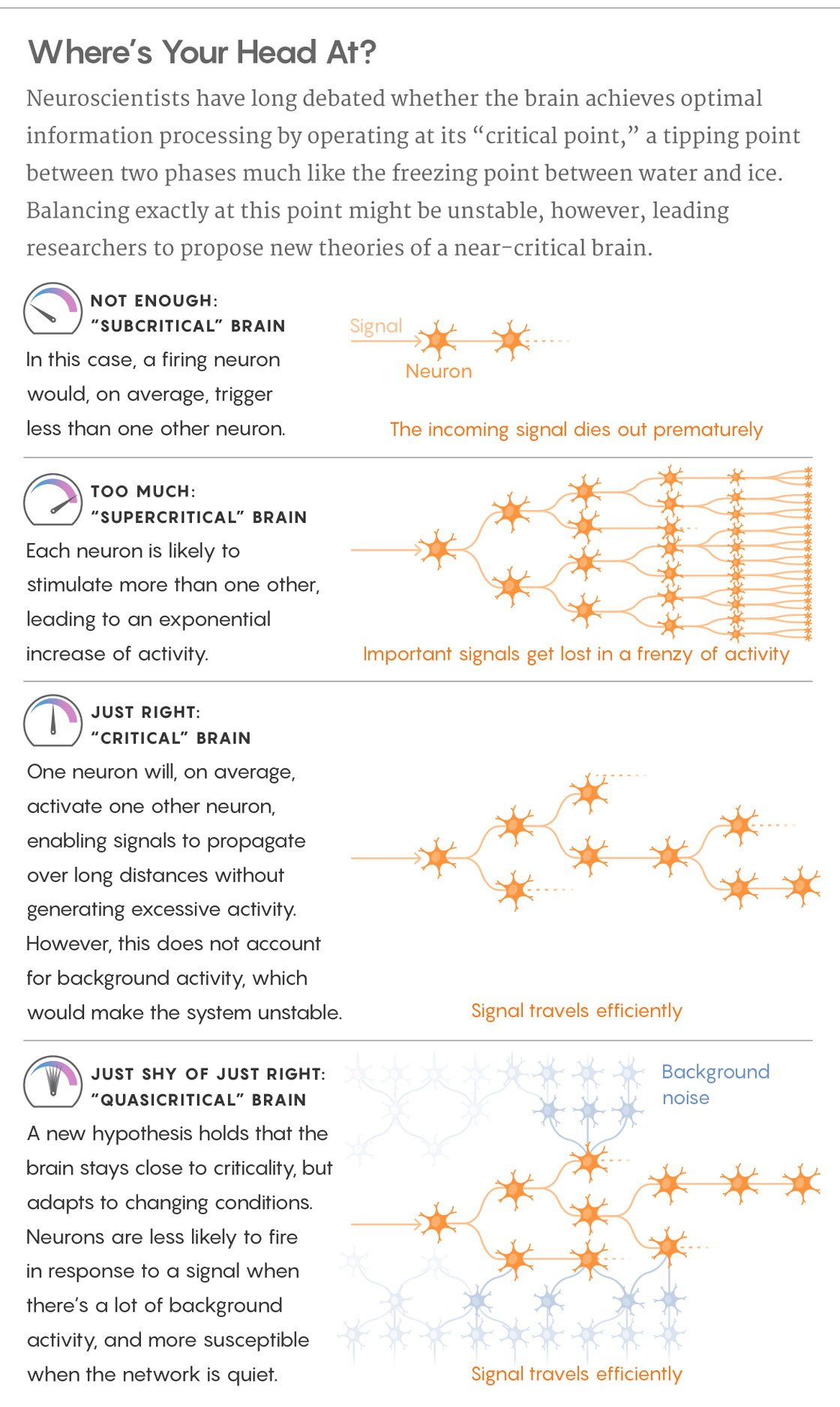 Graphic illustrating the comparison between the subcritical brain, supercritical brain, critical brain, and the quasicritical brain.