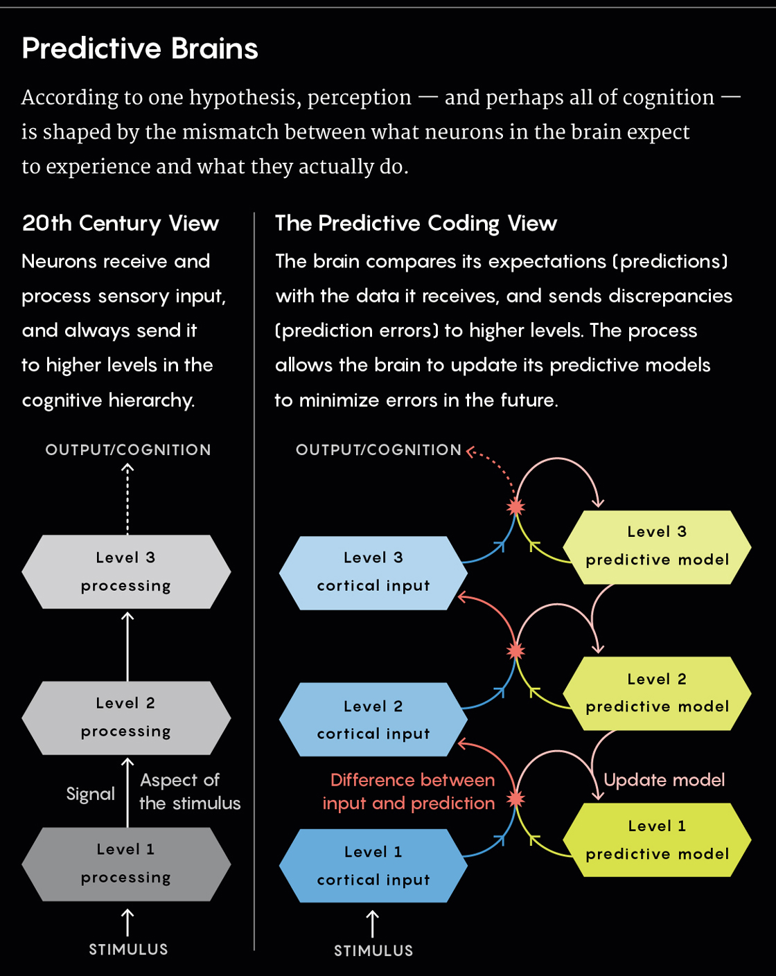 Graphic illustrating the comparison between the 20th century view of predictive brains versus the new predictive coding view.