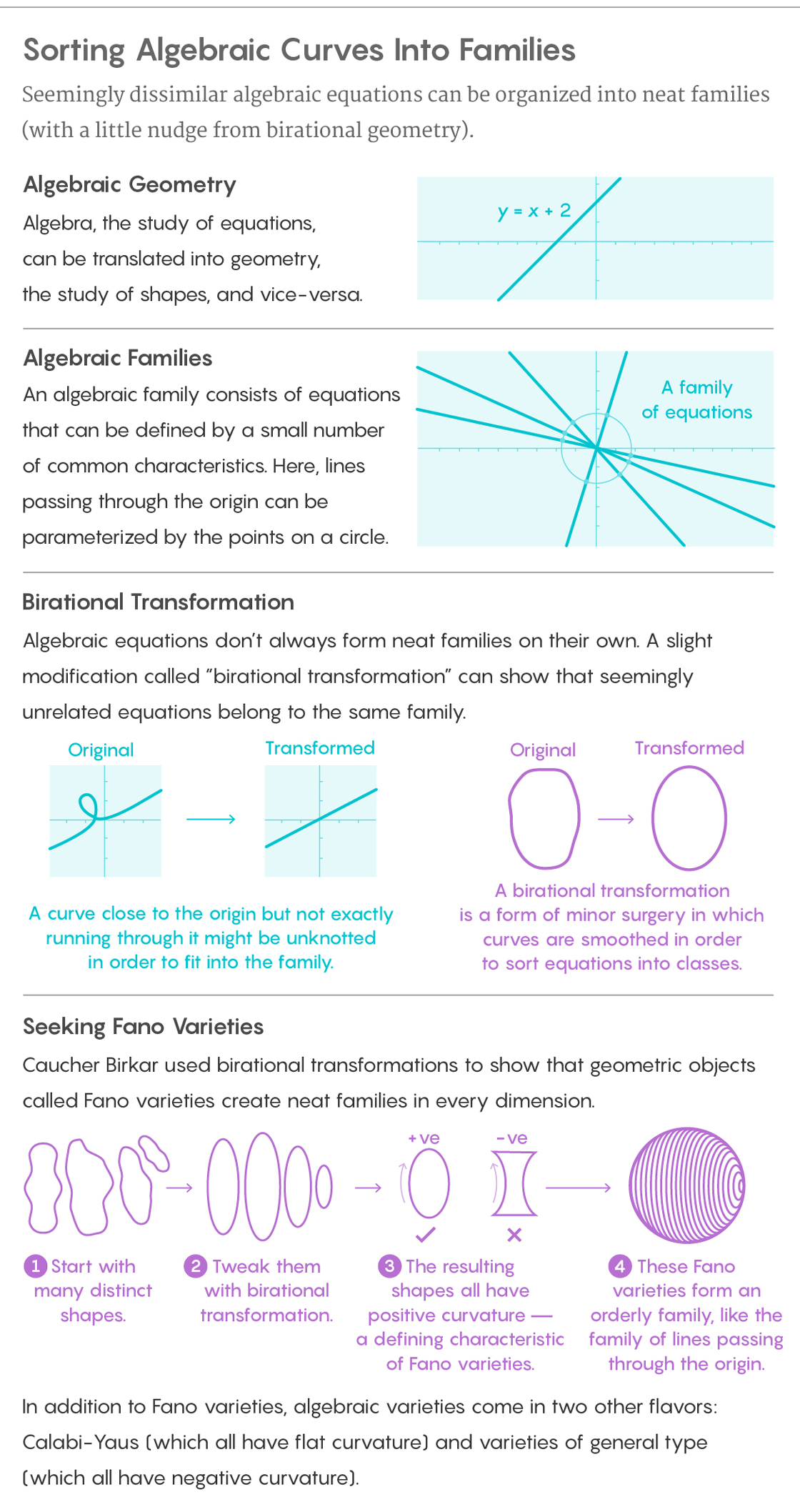 An infographic explaining what birational transformation is