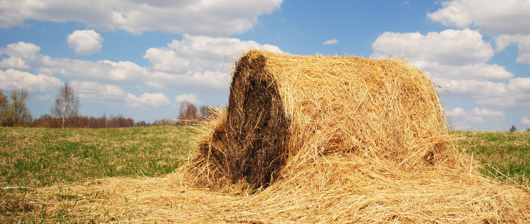 Art for "Why Mathematicians Can’t Find the Hay in a Haystack"