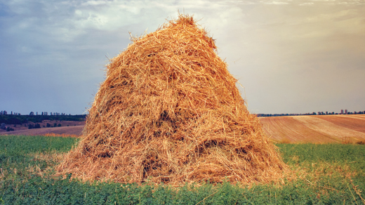 Art for "Why Mathematicians Can’t Find the Hay in a Haystack"