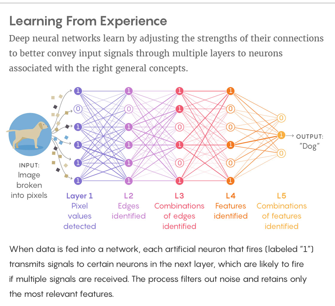 Graphic: Deep neural networks learn by adjusting the strengths of their connections to better convey input signals through multiple layers to neurons associated with the right general concepts. When data is fed into a network, each artificial neuron that fires (labeled “1”) transmits signals to certain neurons in the next layer, which are likely to fire if multiple signals are received. The process filters out noise and retains only the most relevant features.