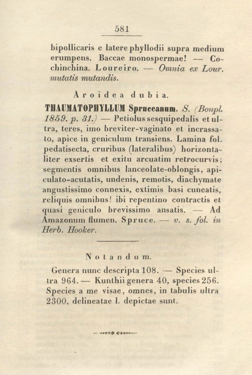 The page describing the find in Spruce’s Prodromus Systematic Aroidearum from 1860.