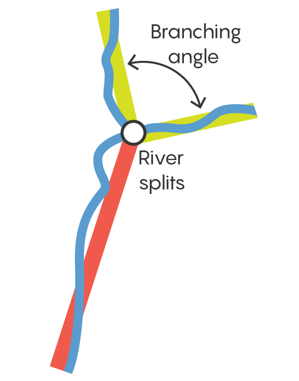 Graphic illustration of a river splitting into branches