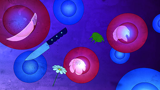 Art for "Stem Cells Remember Tissues’ Past Injuries"