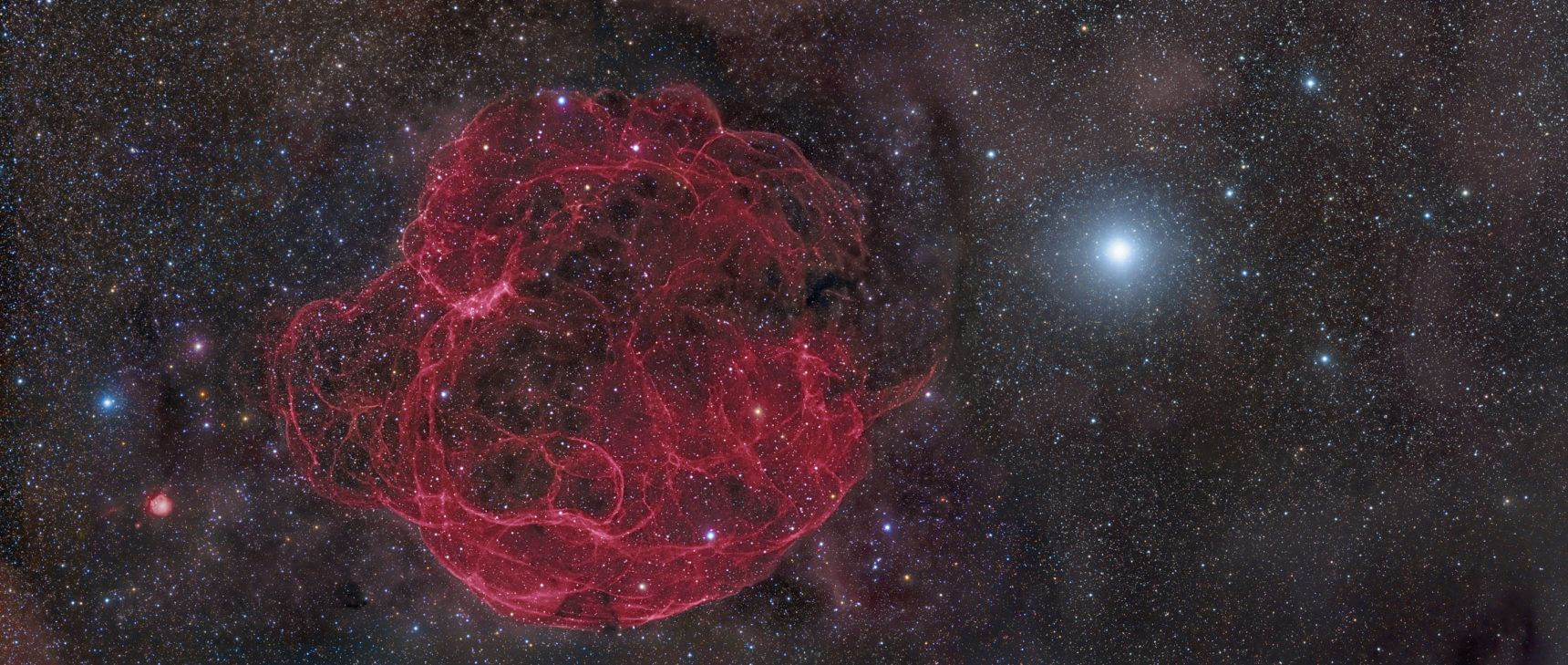 Art for "How Nearby Stellar Explosions Could Have Killed Off Large Animals"