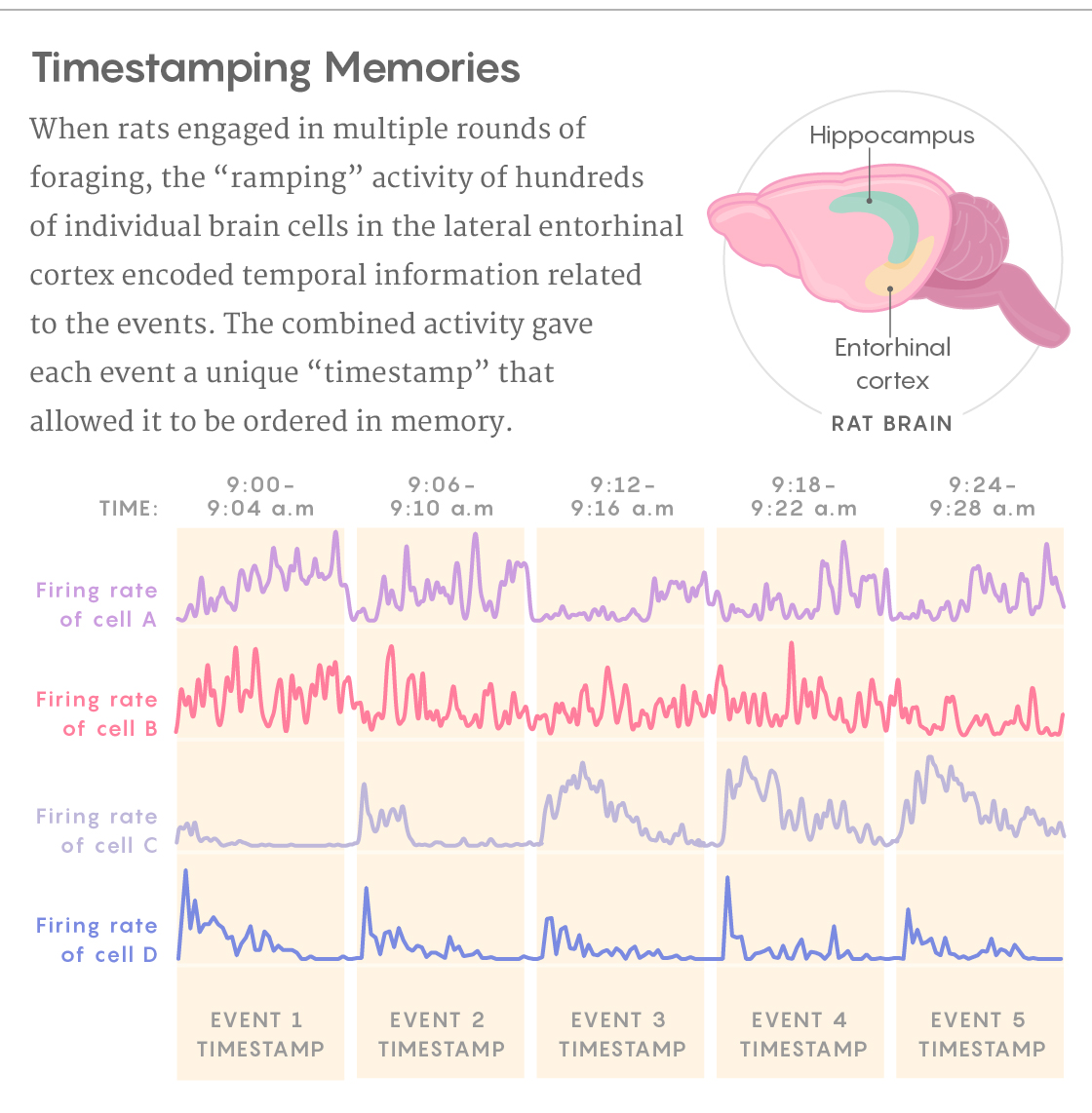 GRAPHIC: TIMESTAMPING MEMORIES