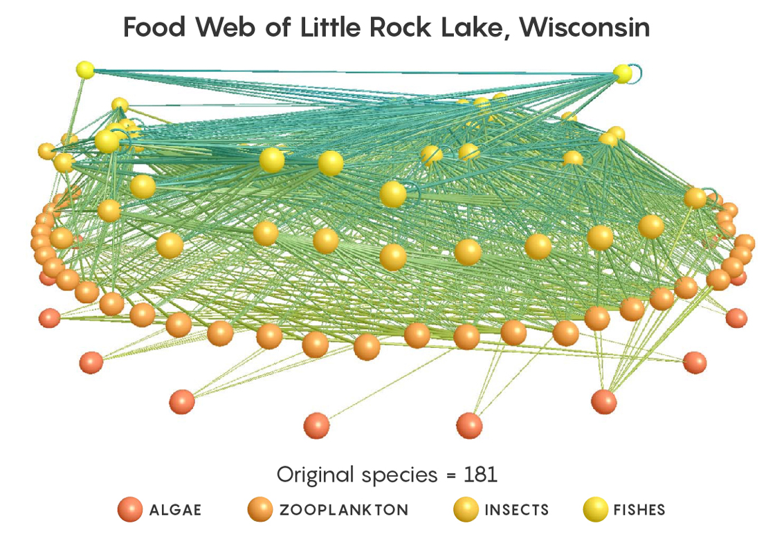 GRAPHIC: Food Web