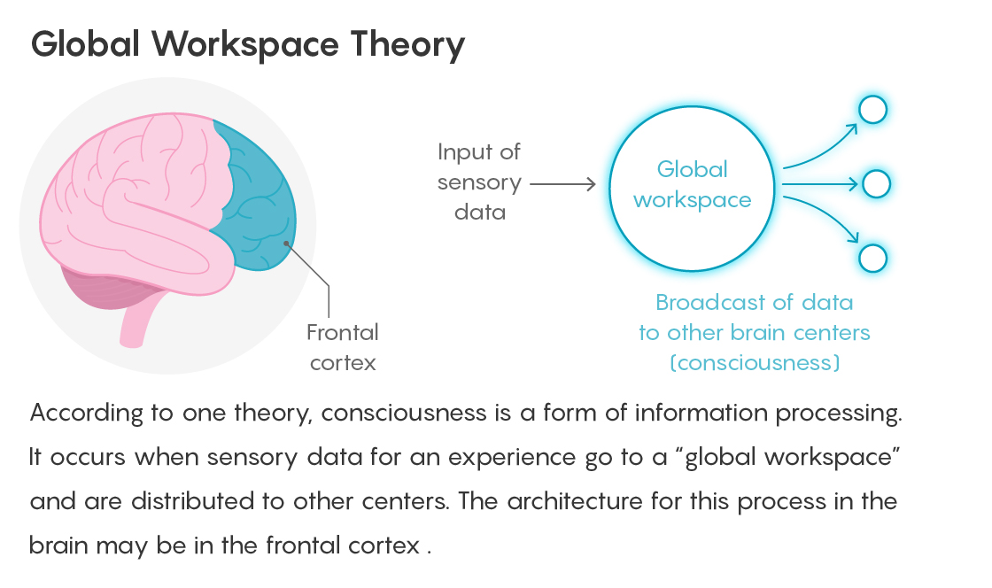 GRAPHIC: GLOBAL WORKSPACE THEORY FIGURE