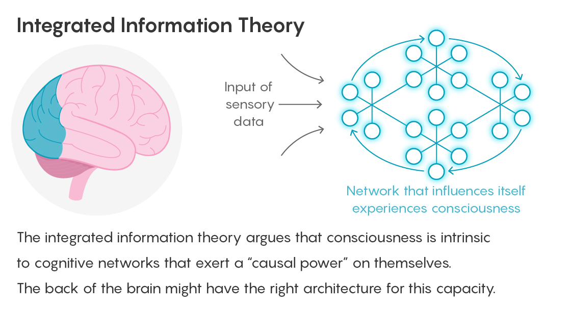 GRAPHIC: INTEGRATED INFORMATION THEORY FIGURE