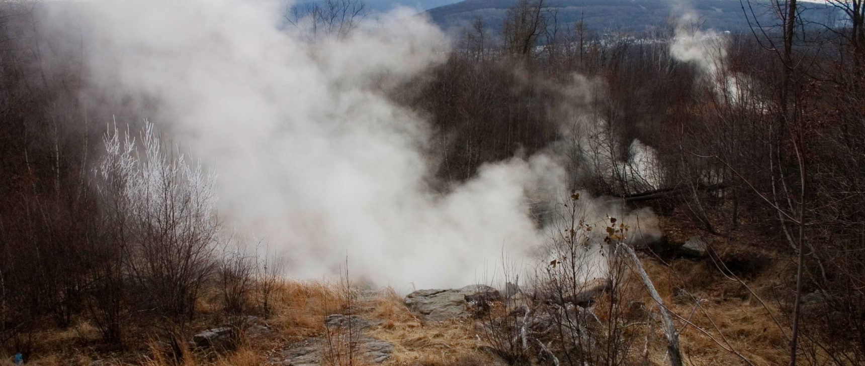 Art for "Dormant Microbes Bide Their Time Over Decades - Old Fires"