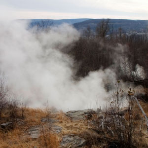 Art for "Dormant Microbes Bide Their Time Over Decades - Old Fires"