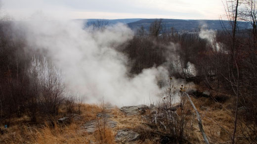 Art for "Dormant Microbes Bide Their Time Over Decades - Old Fires"