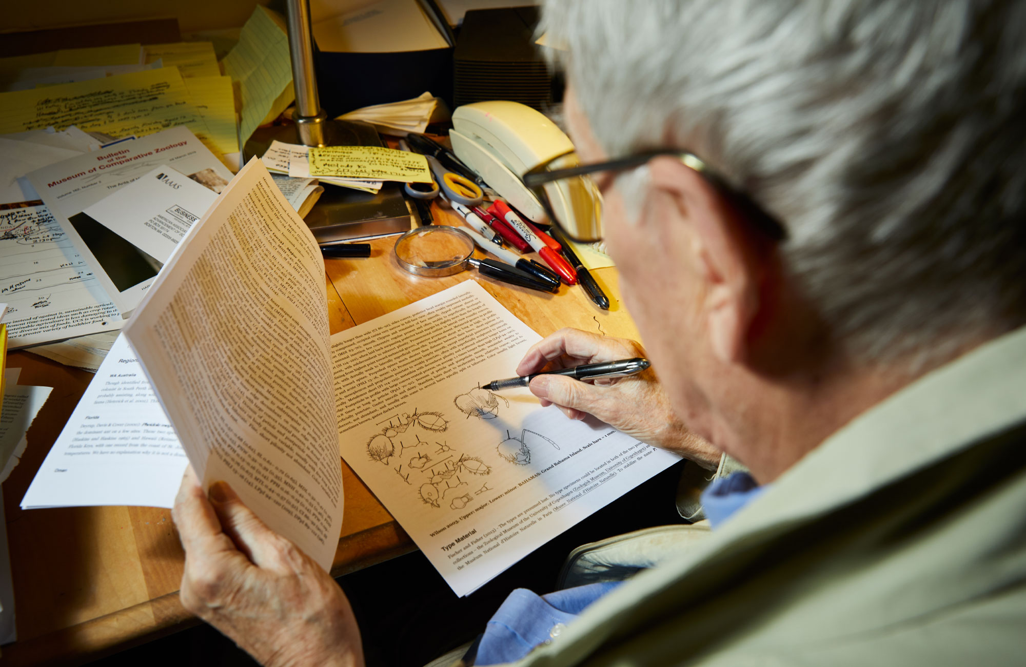 PHOTO: EO Wilson reading.