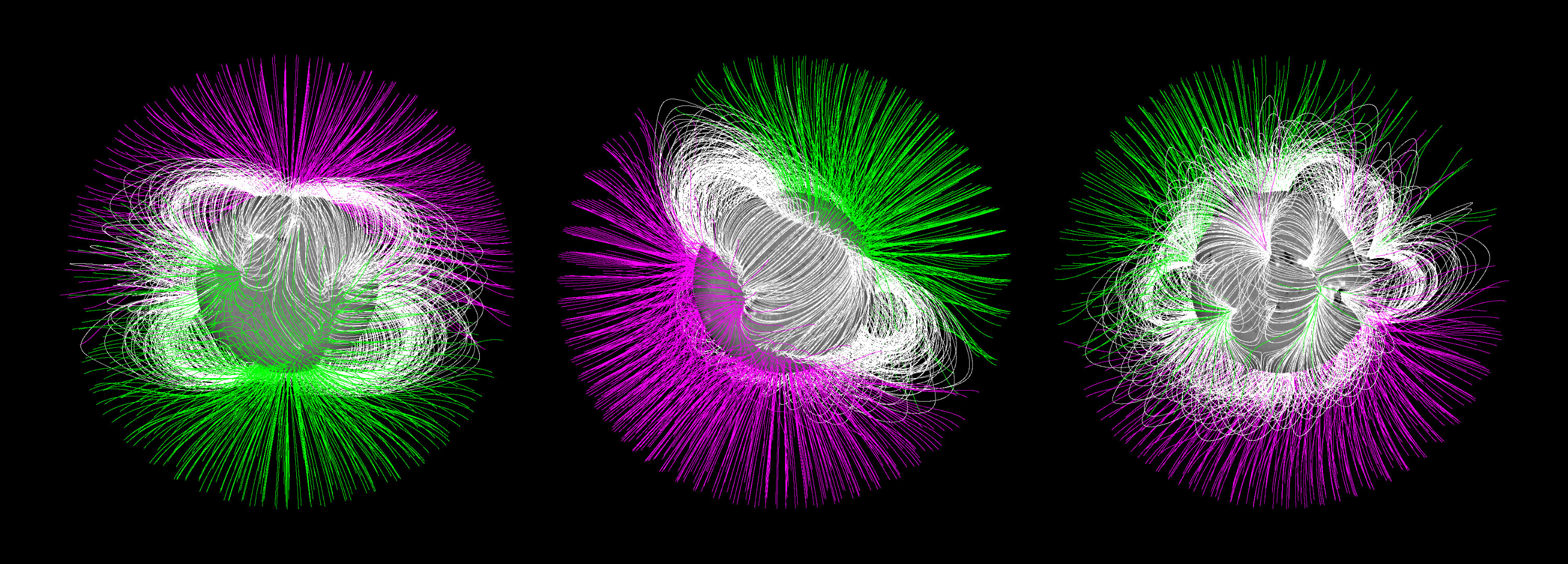 IMAGE: Solar magnetic field