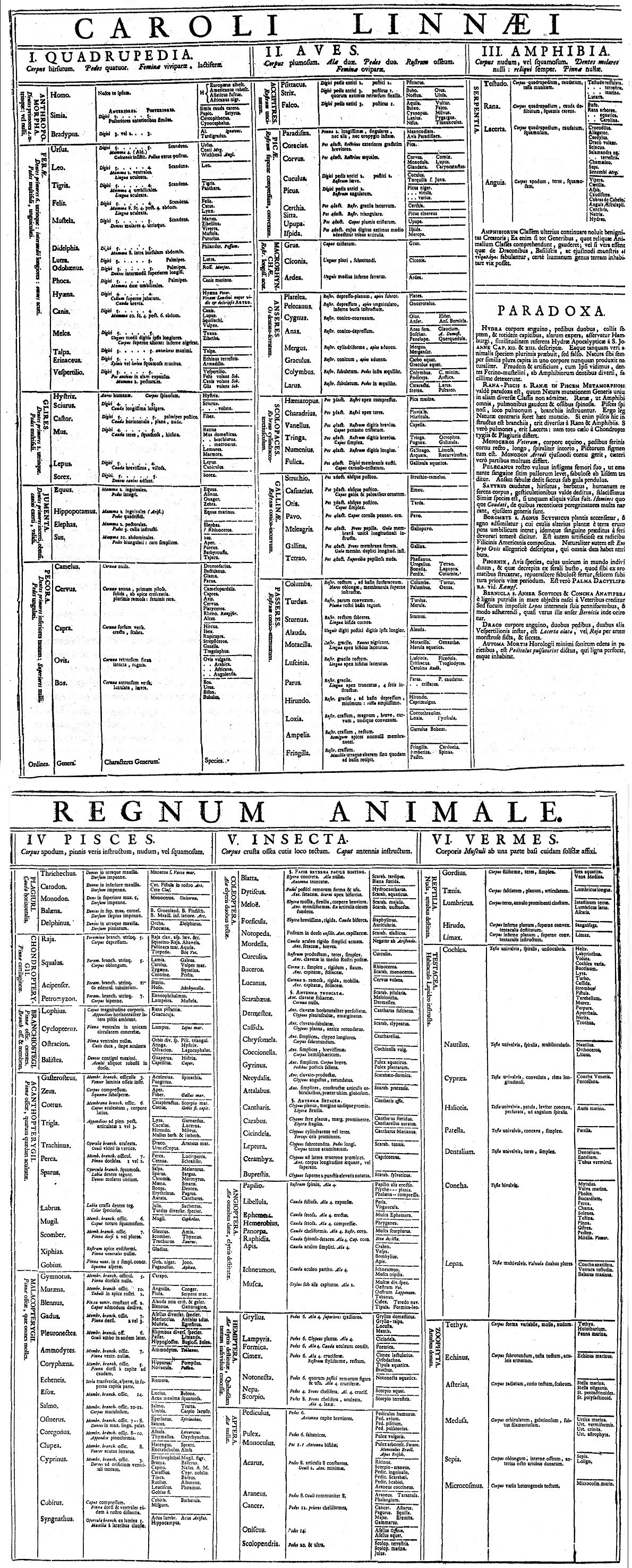 Table of the Animal Kingdom (Regnum Animale) from Carolus Linnaeus's first edition (1735) of Systema Naturae.