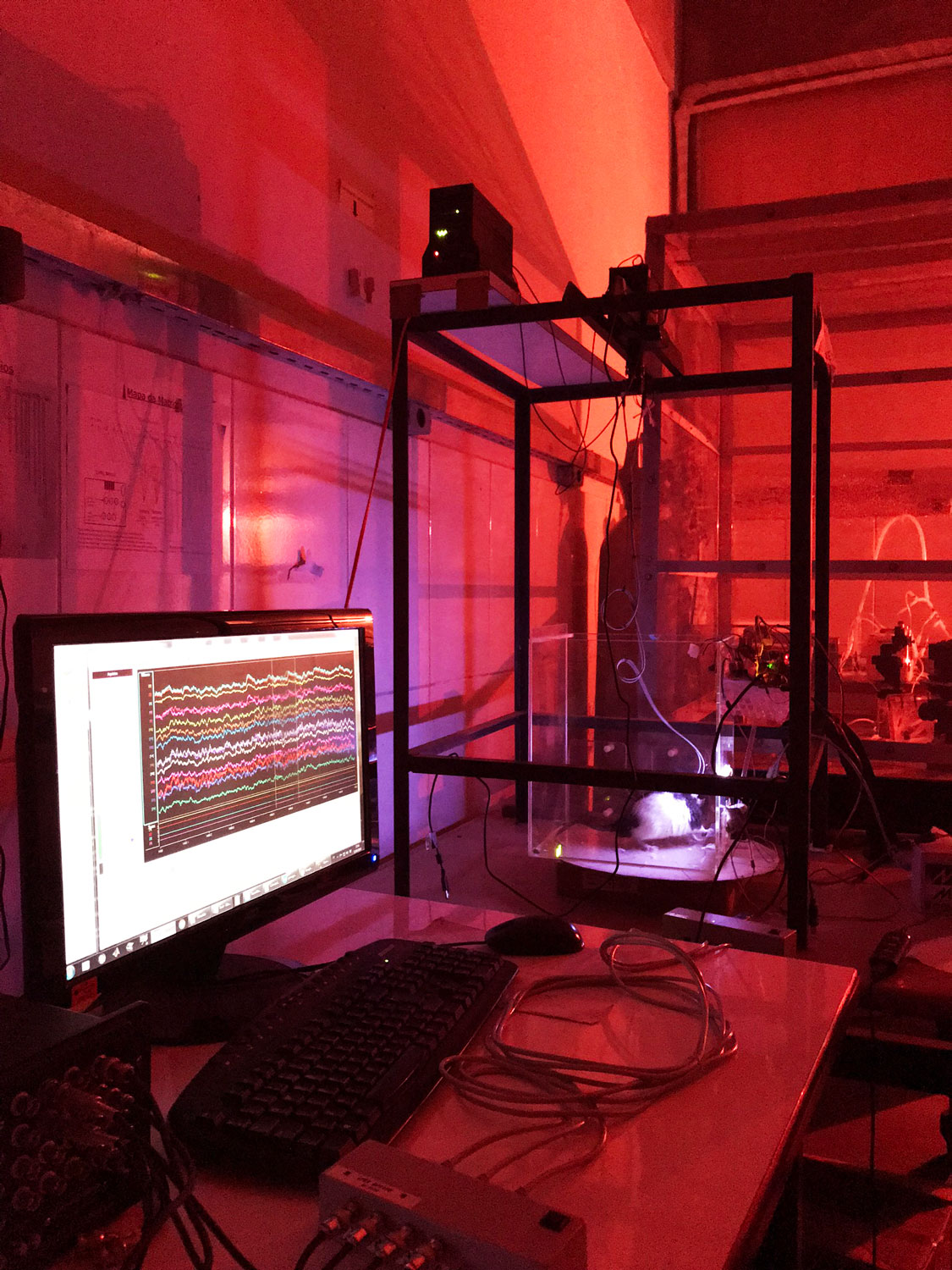 Photo of a lab with red lighting, showing a computer analyzing brain waves connected to a rat.