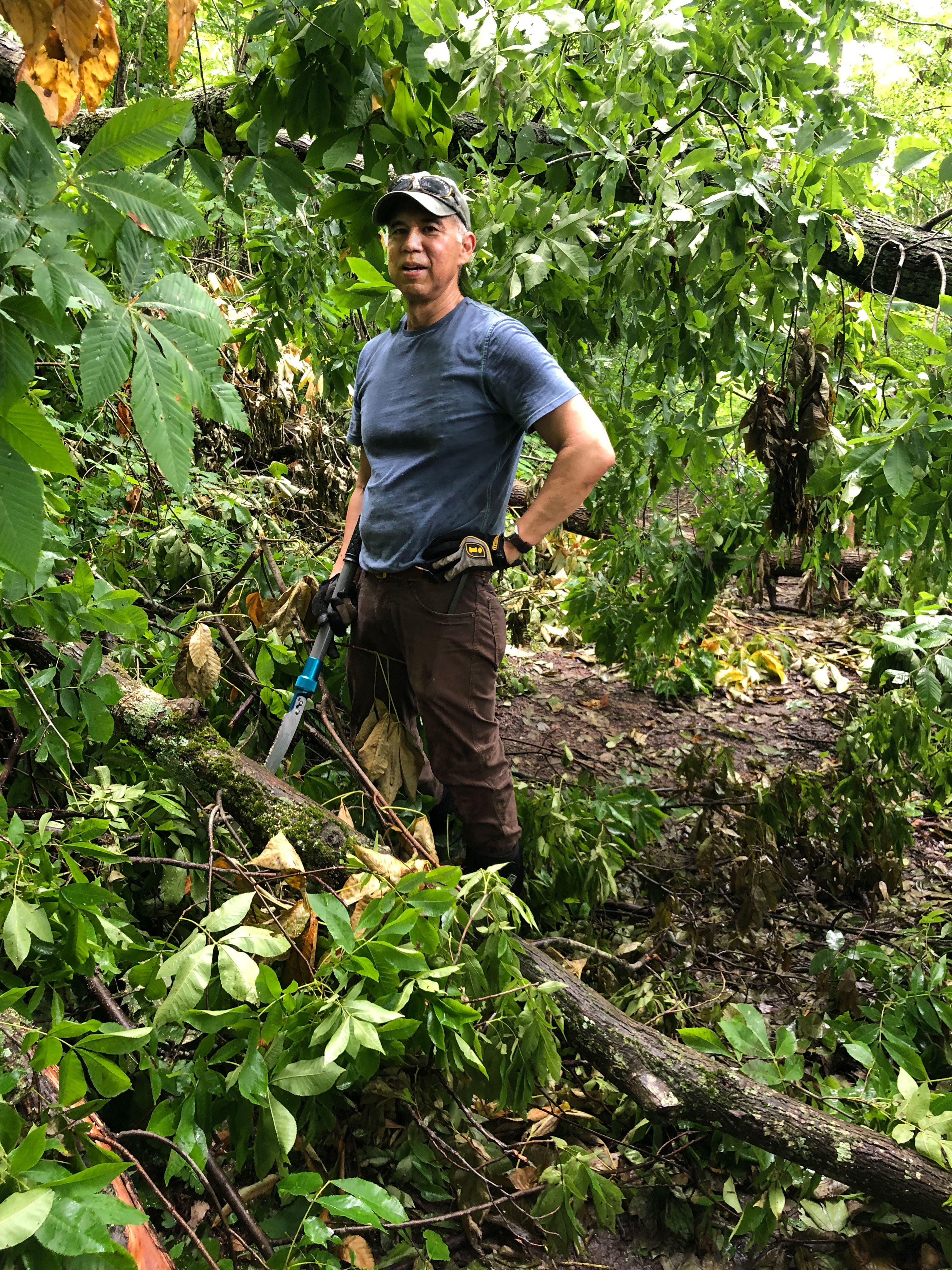 Photo of a man standing in front of a fallen branch in a forest, wearing a blue shortsleeved shirt, dark pants, a dark baseball cap with sunglasses resting on top, work gloves, and holding a hack saw.