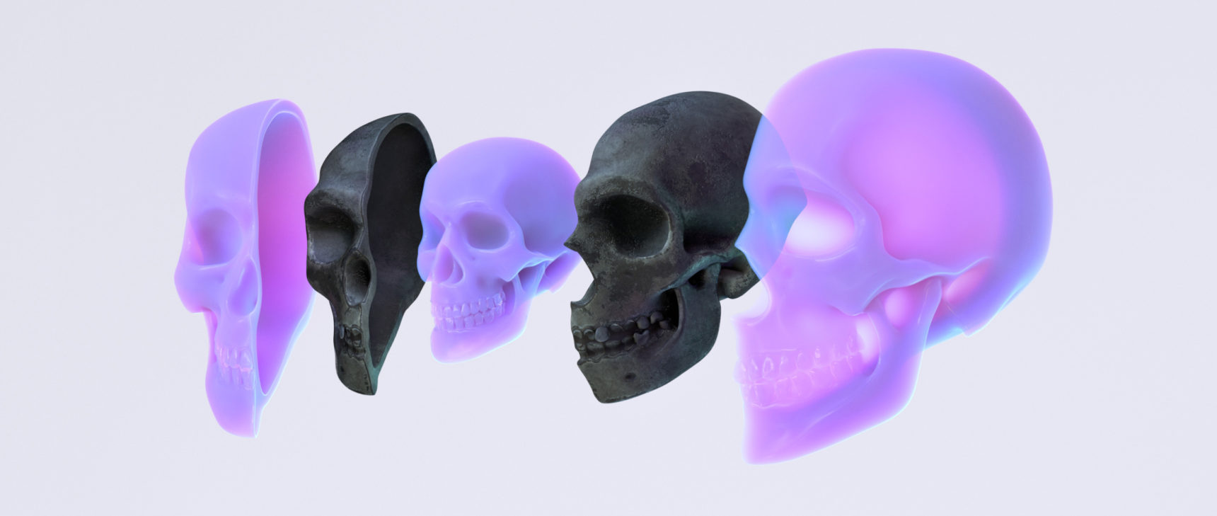 3D illustration of three human skulls, split into left and right halves and nested one inside the next.