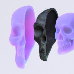 3D illustration of three human skulls, split into left and right halves and nested one inside the next.