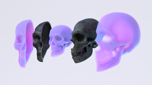 3D illustration of three human skulls, split into left and right halves and nested one inside the next.