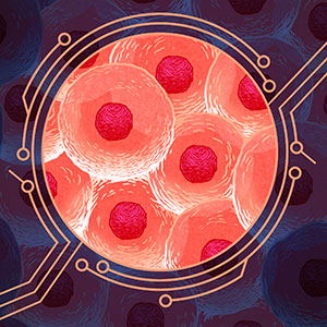 An illustration that shows a fanciful view of cells in terms of electrical circuitry.