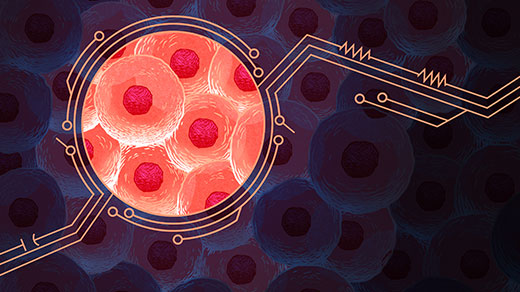 An illustration that shows a fanciful view of cells in terms of electrical circuitry.