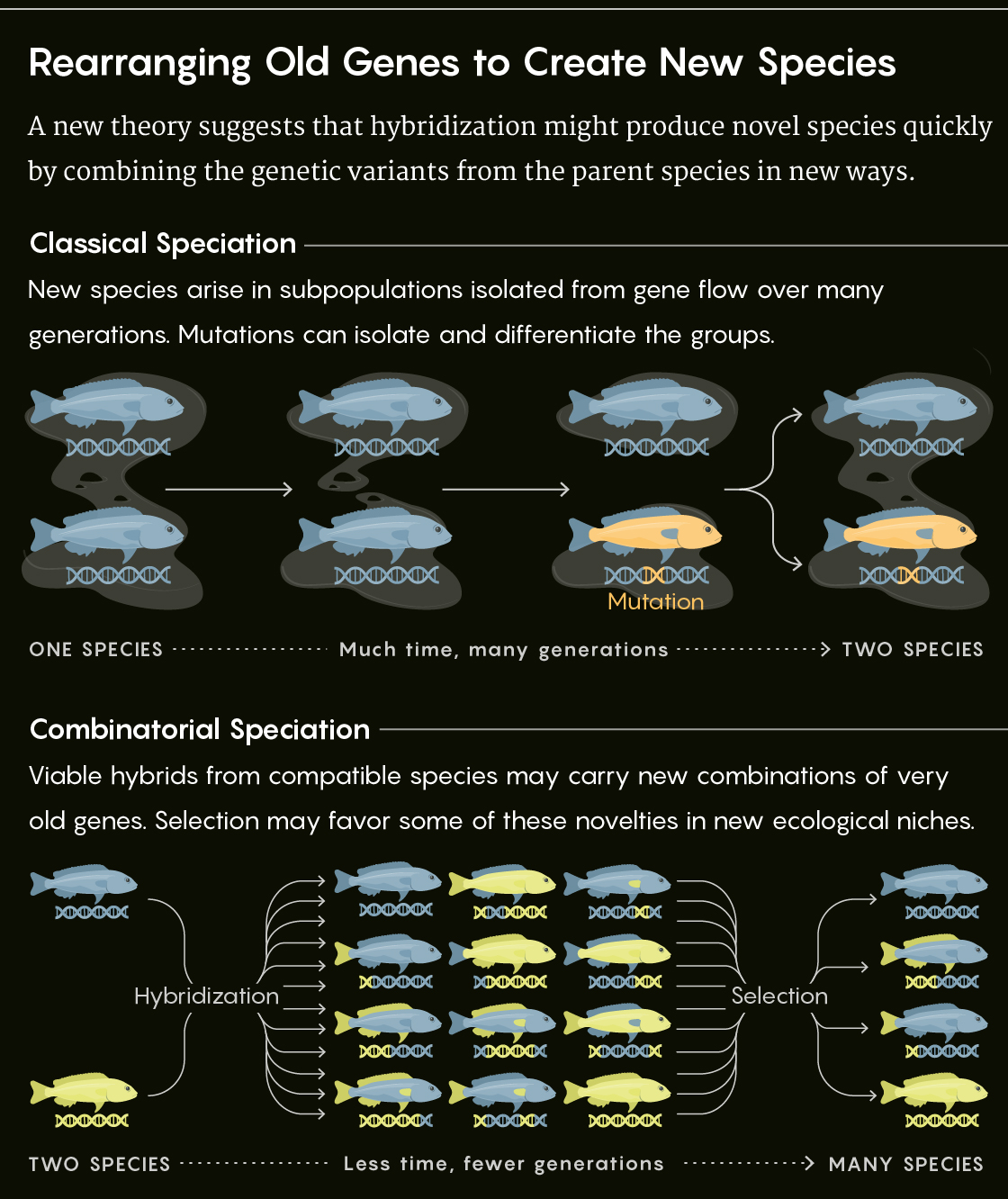 A figure explaining the difference between combinatorial speciation and more classical mechanisms.