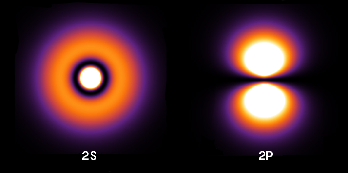 The orbital structure of the 2S and 2P states of hydrogen.