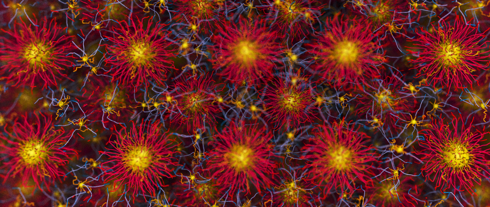 A view of nanoparticles in a crystalline pattern.