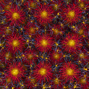 A view of nanoparticles in a crystalline pattern.