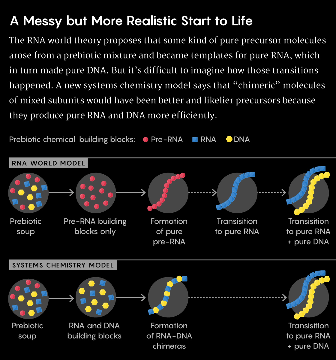 This figure contrasts two theorized mechanisms for the evolution of RNA and DNA as we known them: the RNA World Theory, in which pure molecules of RNA somehow arose from a non-RNA precursor, and the Systems Chemistry Theory, in which hybrid molecules made of RNA and DNA subunits preferentially synthesized pure RNA and DNA.