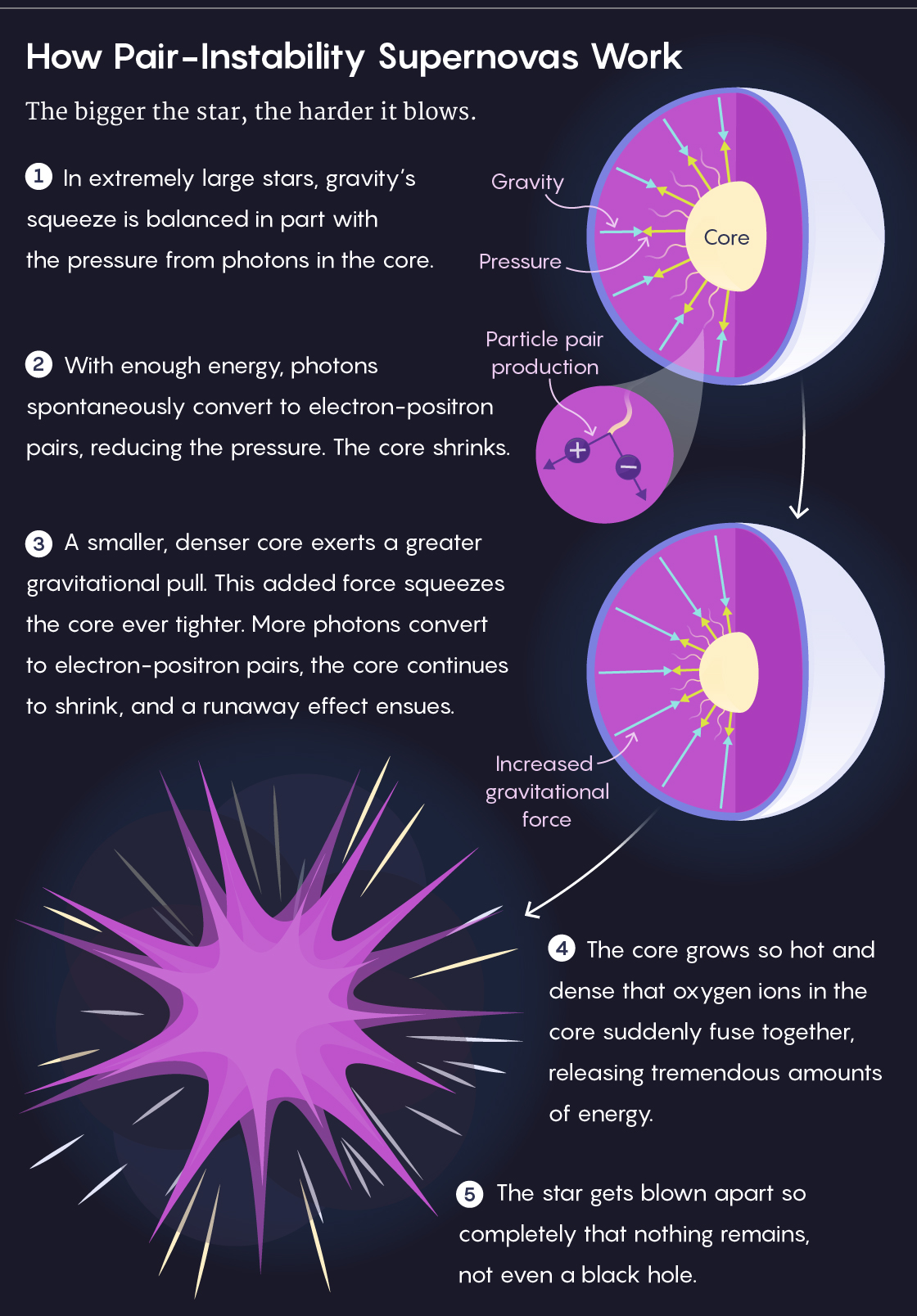 An infographic of how pair-instability supernovas work