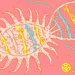 Illustration of DNA that combines elements of mealybug and bacterial imagery.