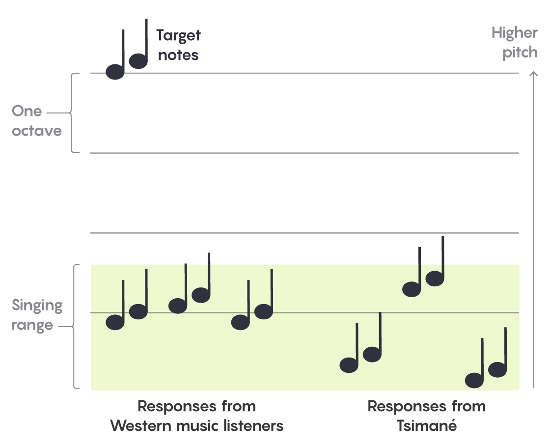 Diagram showing the performance of Tsimané and U.S. volunteers in the experiment.