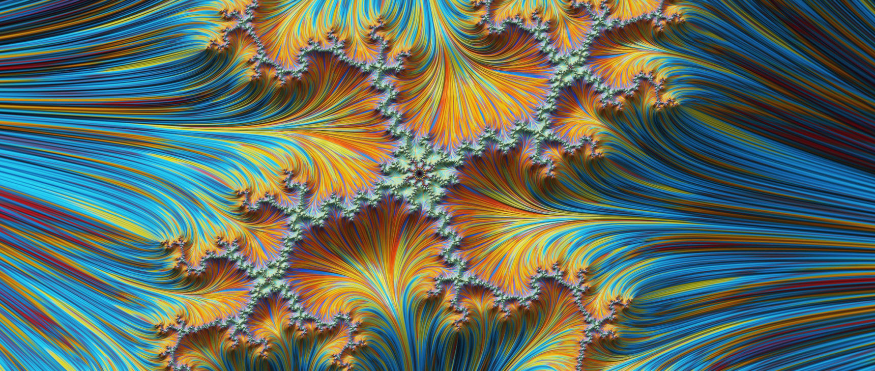 A fractal pattern.