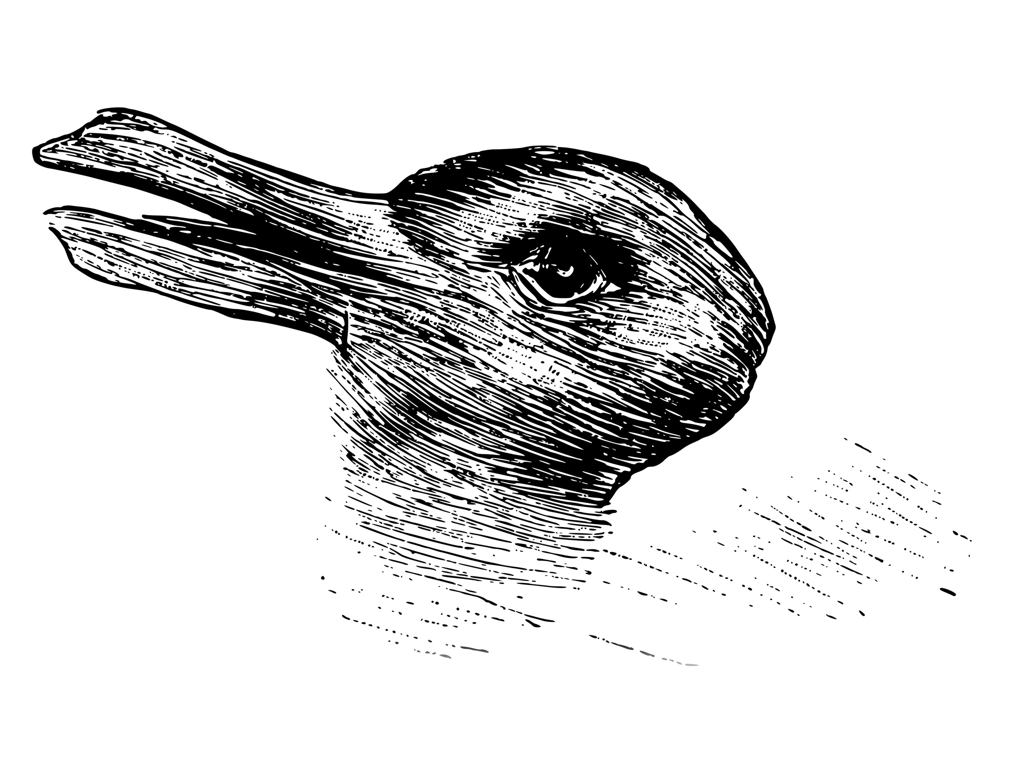 The rabbit-duck illusion.