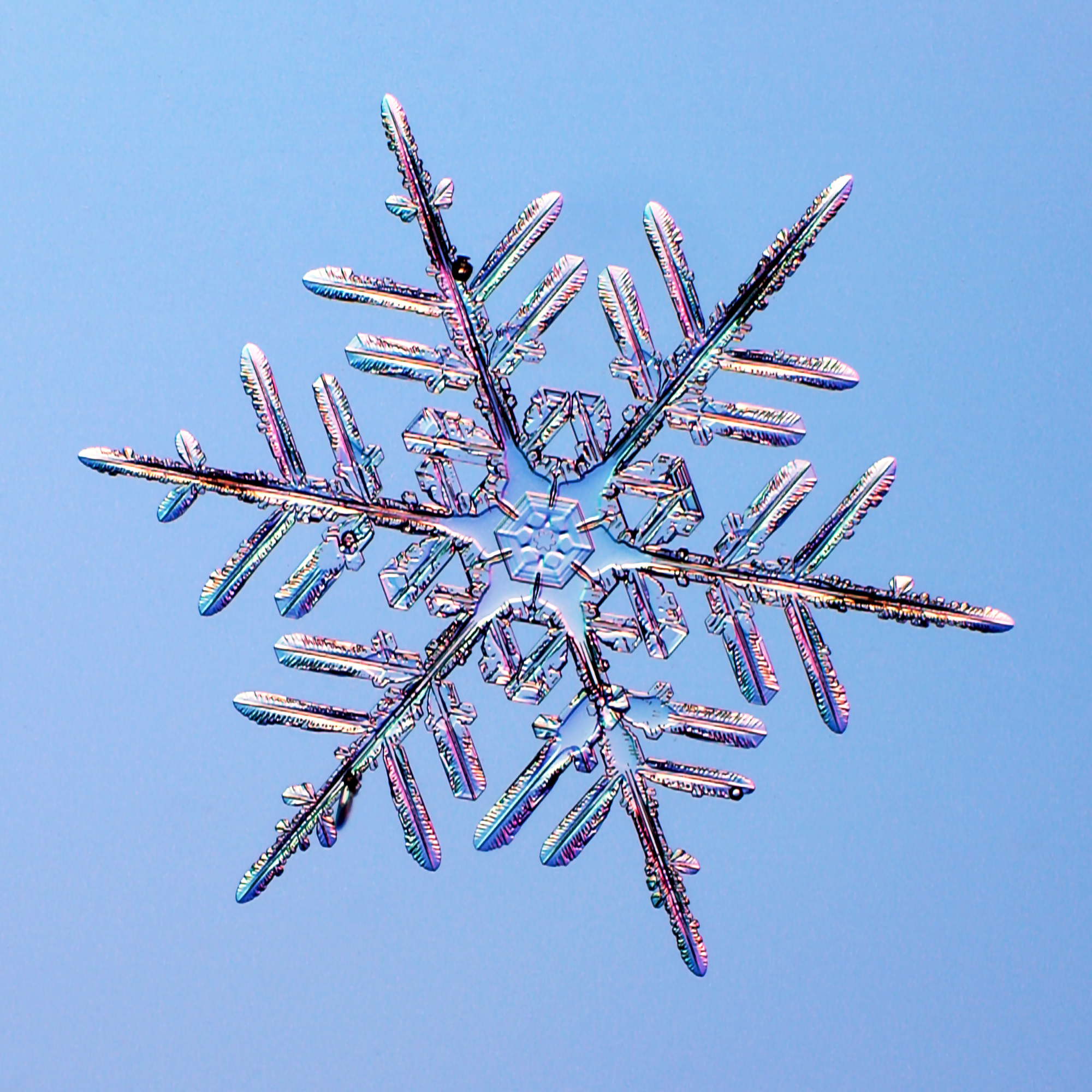 One of three close-up images of star-like snowflakes on a blue background.