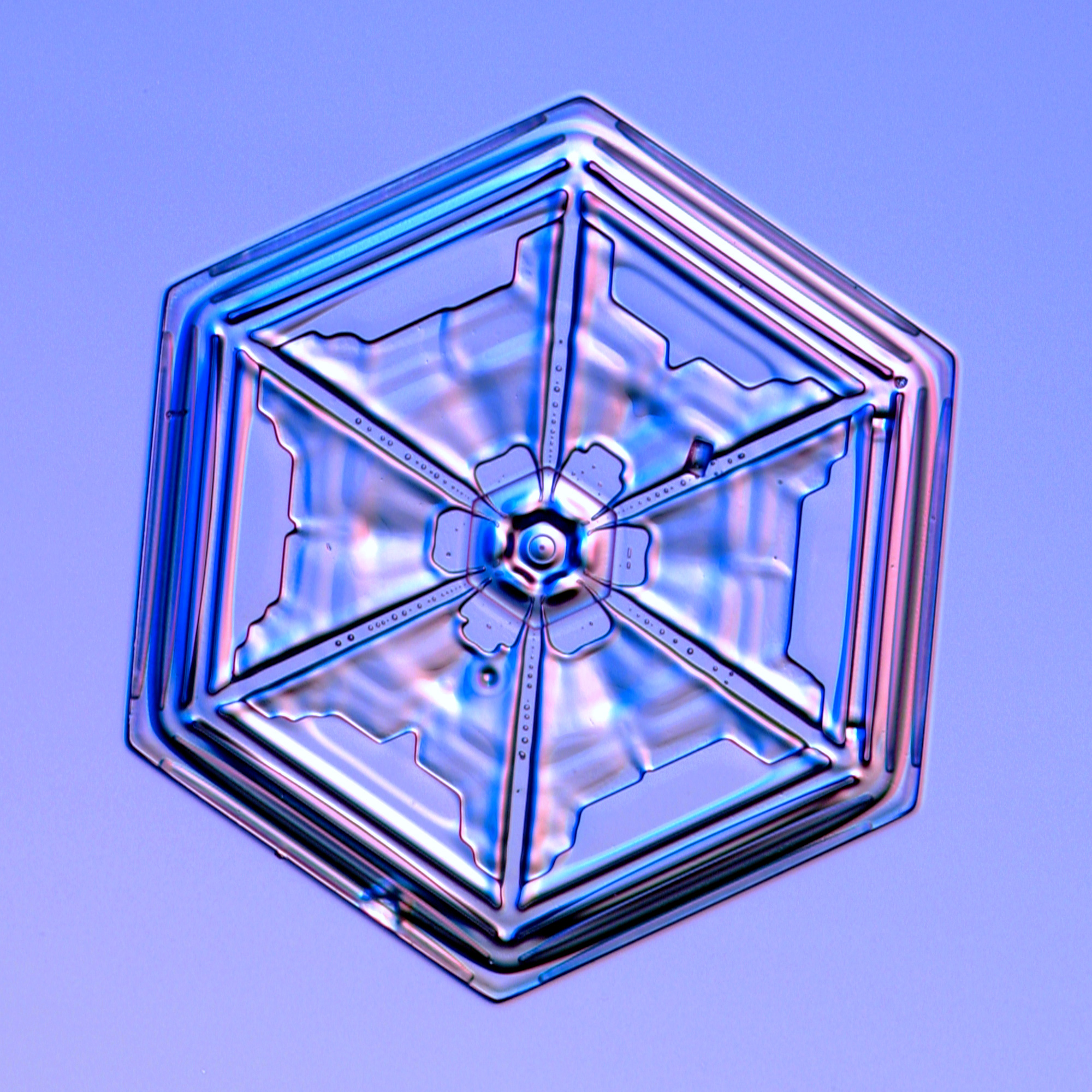 One of three close-up images of star-like snowflakes on a blue background.