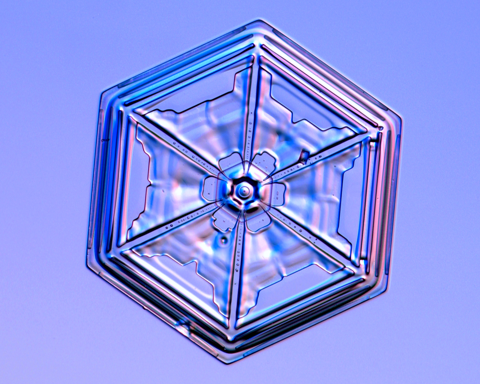 One of three close-up images of star-like snowflakes on a blue background.