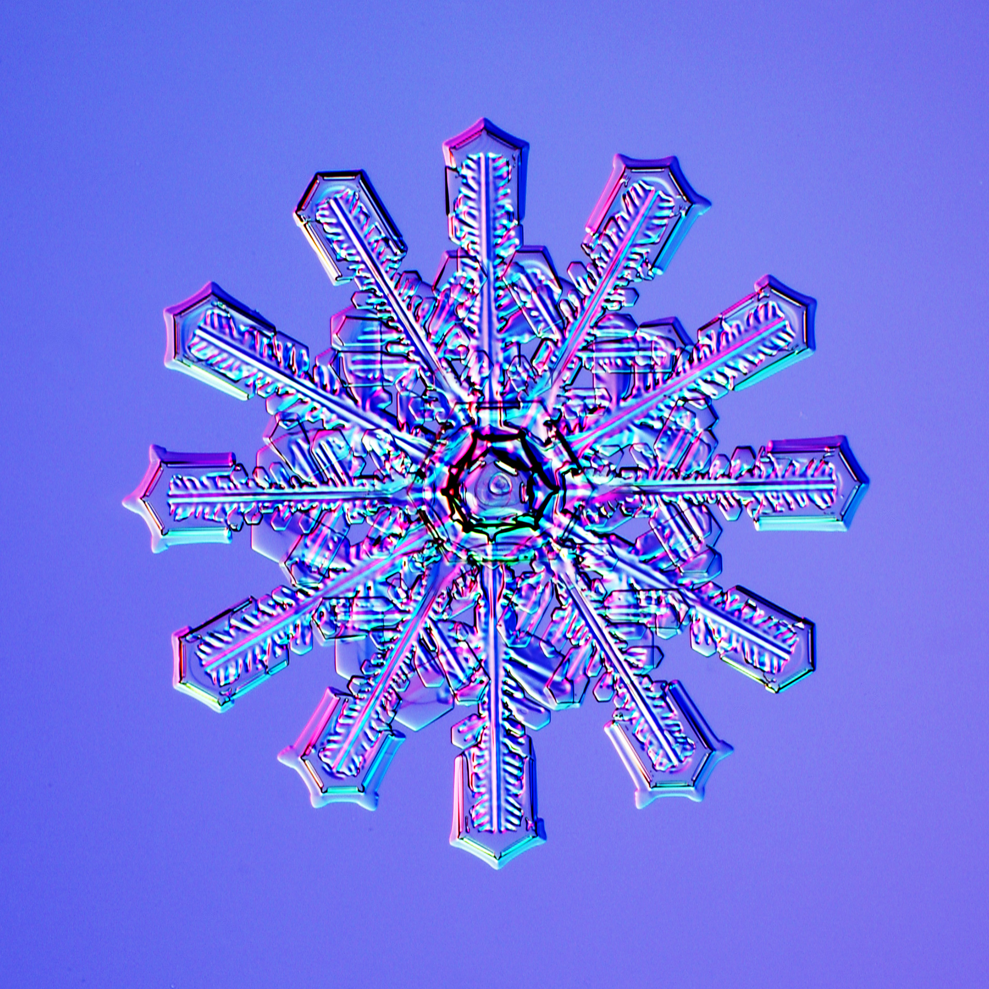 One of three close-up images of star-like snowflakes on a blue background.