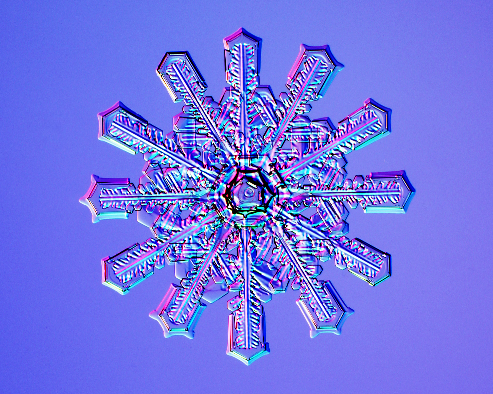 One of three close-up images of star-like snowflakes on a blue background.