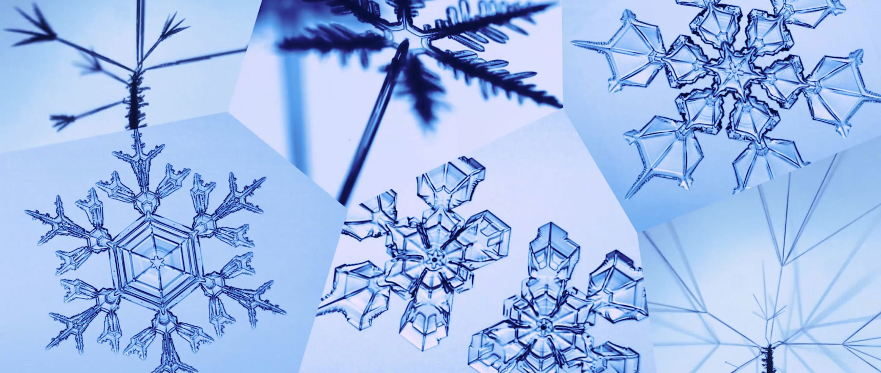 Six looping videos of different types of snowflakes and snow crystals growing.