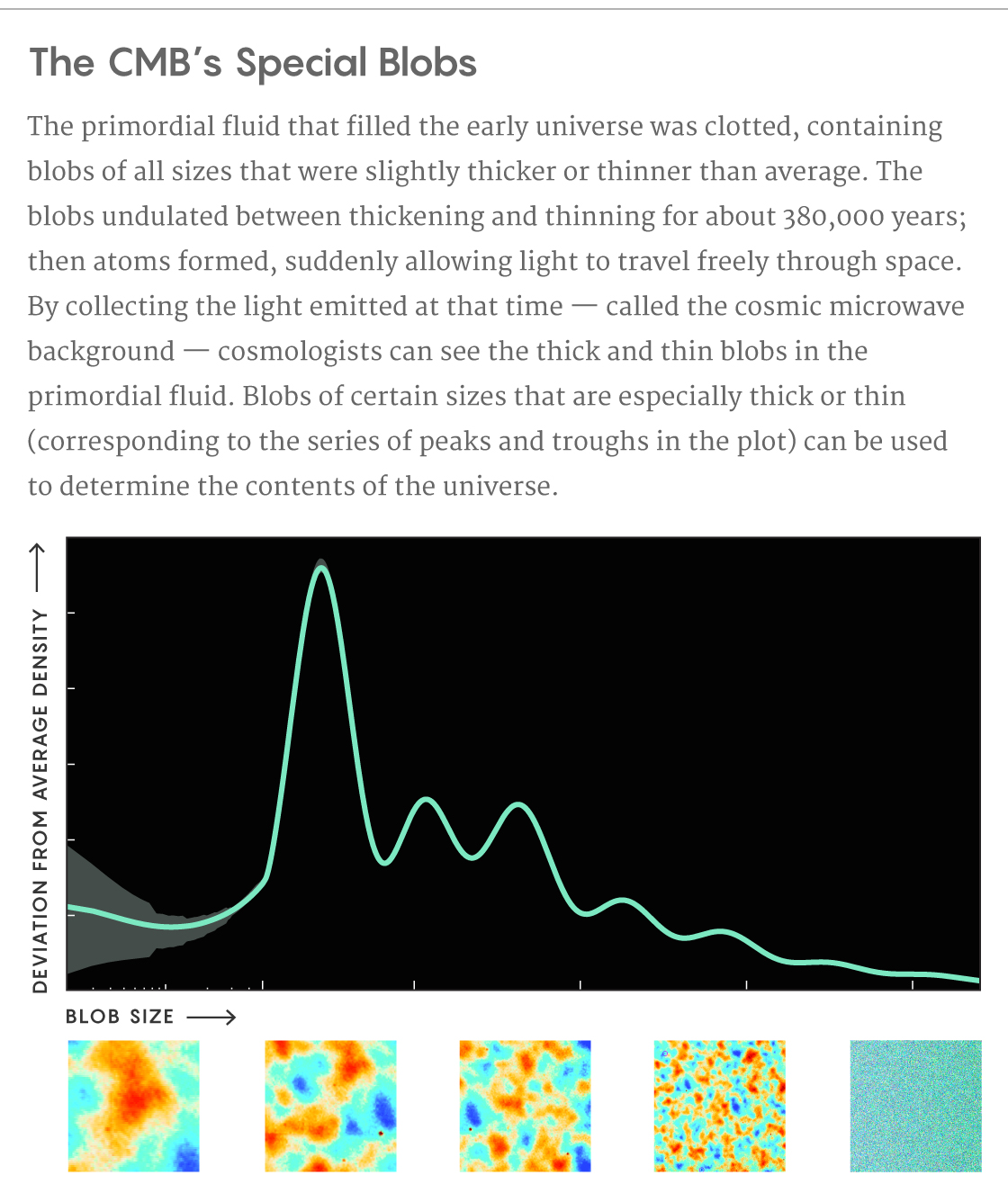 Infographic titled "The CMB’s Special Blobs". Text underneath reads: The primordial fluid that filled the early universe was clotted, containing blobs of all sizes that were slightly thicker or thinner than average. The blobs undulated between thickening and thinning for about 380,000 years; then atoms formed, suddenly allowing light to travel freely through space. By collecting the light emitted at that time — called the cosmic microwave background — cosmologists can see the thick and thin blobs in the primordial fluid, including special blobs of certain sizes with peak thickness and others with peak thinness. This series of peaks can be used to determine the contents of the universe.