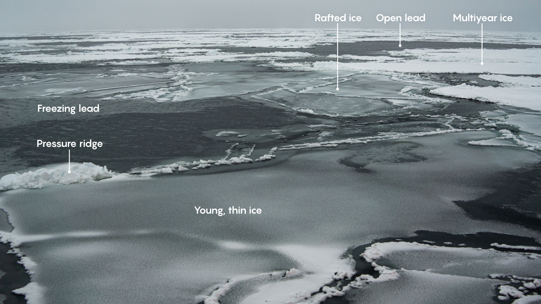 Multiple varieties of sea ice.