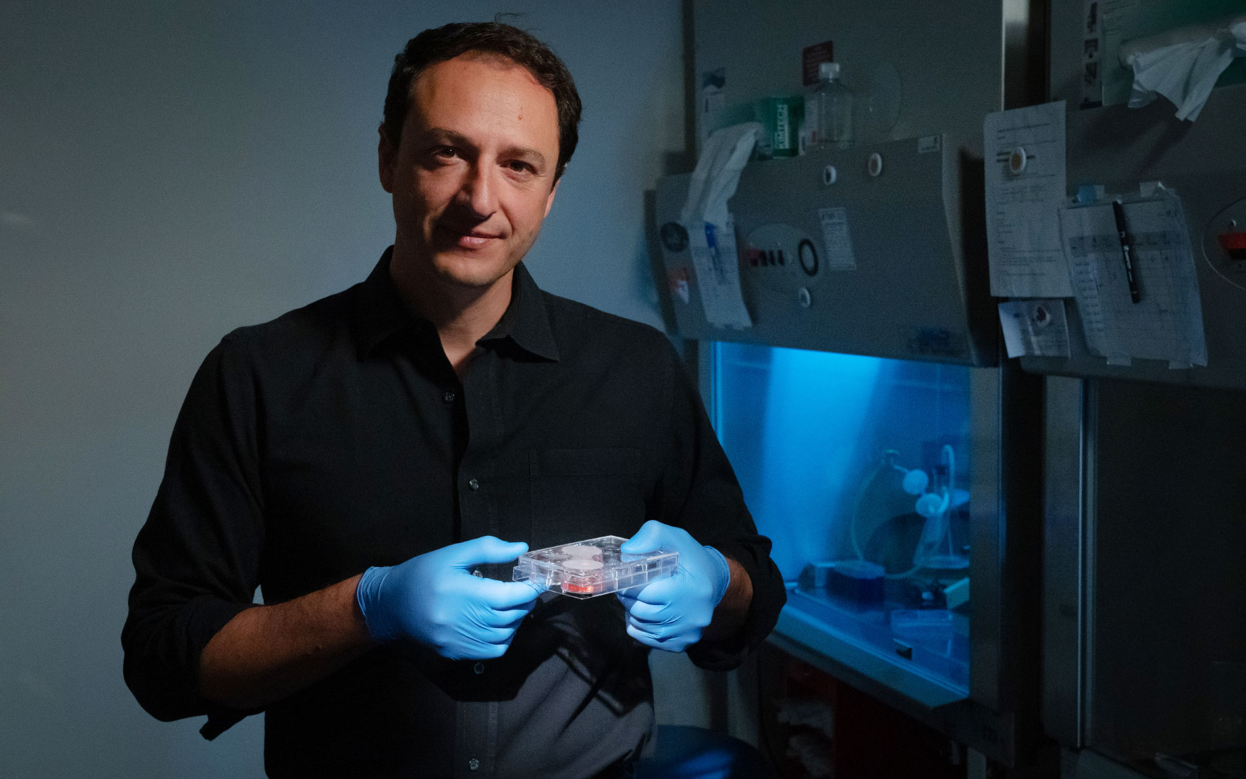 First of two photos: Portrait of Alysson Muotri in his laboratory.