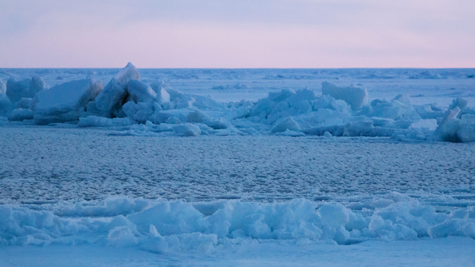 An arctic landscape.