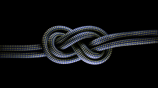 Photo of a complicated knot.