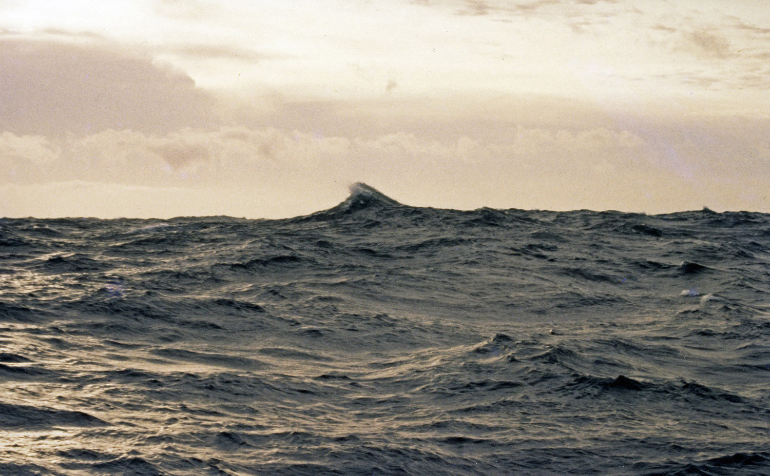 Rogue wave at sea.